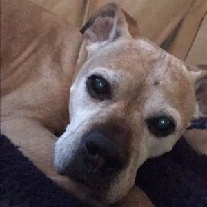 Meet your Posher, Tracy